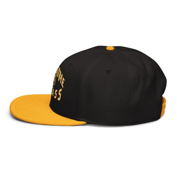 snapback gold black black left side 693bf4a5478aa
